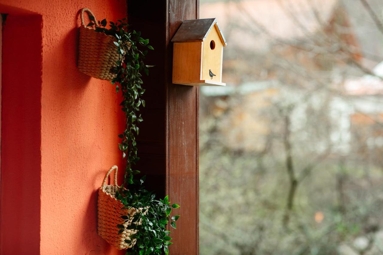 Home & Garden With Stunning View Sinaia Extérieur photo